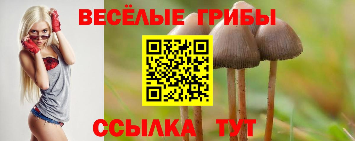 Надым  Псилоцибиновые грибы GOLDEN TEACHER  Вход с VPN 